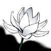 quercusoptima: (Default)
