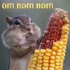 weaverbird: (Om nom nom)