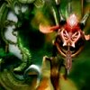 concordancemods: (Zodiark the Keeper of Precepts)