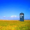 justice_turtle: Image of the TARDIS in a field on a sunny day (lamiya default)