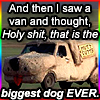 raze: screen capture of van from "Dumb & Dumber" (mental illness)