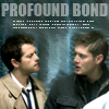 deancaslover33: (profoundbond)