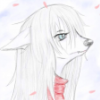 arwym: Scarlet, my furry character back in the days. (Fox)