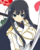 hanzo_h_cups: (Ikaruga)
