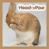 minuial_nuwing: (Bunny head-->paw by Tuxedo Elf)