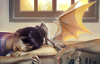 kaylinneya: (nap time)