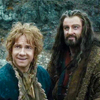 hewasmyfriend: (The hobbit and the king)