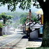 rakuenvillage: (Default)