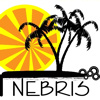 nebris: (Nebs Palms)