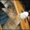 ayashi: (pic#891128)