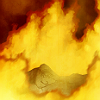 circumitus: I should go check. (did i leave the oven on?)