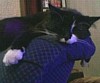 adjectivegail: (minardi flop)
