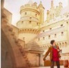 yourlibrarian: Merlin is dwarfed by a castle (MERL-MerlinCastleLook-andiwould)