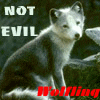 wolfling: (notevil)