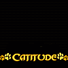 sweetmeow: (Catitude)