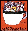 sweetmeow: (Coffee Cats)