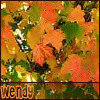 sweetmeow: (Fall Leaves - Wendy animated)