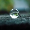 saunteringfiend: (droplet)