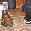 sergebroom: (Dalek vs K9)