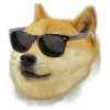 fallolive: wow much cool (doge, shiba inu, shibe, so cool, wow)