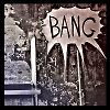 theladysnarkydame: (Big Bang)