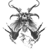 kaeronth: (kaeronth)