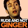 rainne: (Doctor Who - Ten - Rude and Not Ginger)