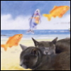 cotya: (golden flying fish)