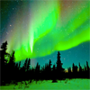 kulturschnepfe: Dezember (Northern Lights)