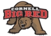 bearleft: (cornell 2)