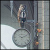 nexus_sages: Owl in a suit. (business owl)
