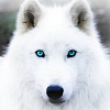 powersthatare: (SAGE)