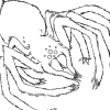 greatwhitespider: (crab)