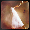violet_sky: (élégance)