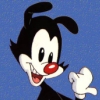 mephron: (Yakko)