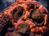 works_in_space: (Horta Cubefall)