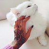 alwayswondered: A woman's tattooed hand stroking a fluffy white cat. (Default)