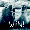 tvillingar: happy seals (squee)