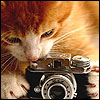 kitsuneca: (кошъ с фотиком)