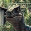 raptorblue: (stare)