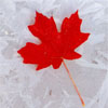 jo: (leaf on ice)