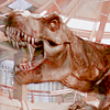 tyrannosaurs: (➨ Triumphant roar.)
