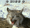 ysabetwordsmith: (hiss)