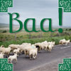 pippins_scarf: (Baa)