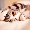 elga_voldemara: (pic#928263)
