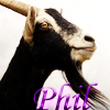 lunabee34: (Phil the Goat by shannon730)