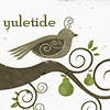lunabee34: (yuletide: bird by liviapenn)