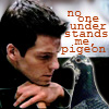 siljamus: (bsg - lee understands the pigeon)