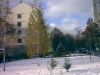 valya_15: (Valya_15_up)
