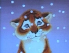 valya_15: (barsik_the_tiger)